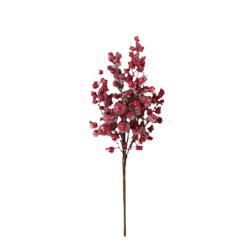 Red Iced Berry Pick
