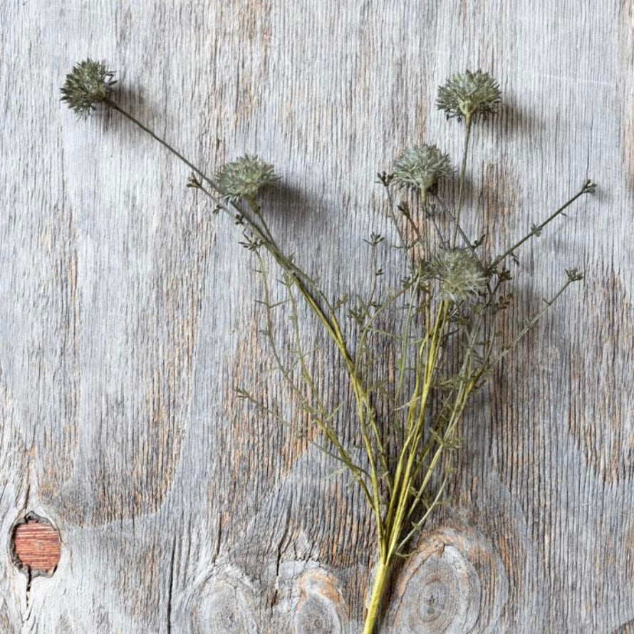 Melaleuca Dusk Stem by Abigail Ahern