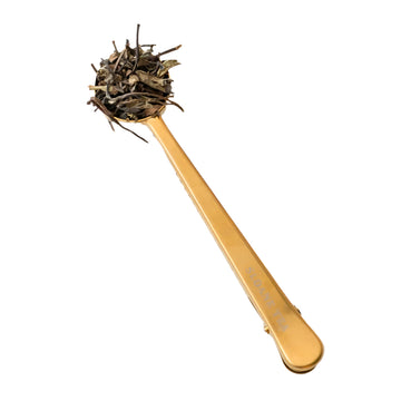 π¨π¦ Brass Measuring Scoop by Sloane