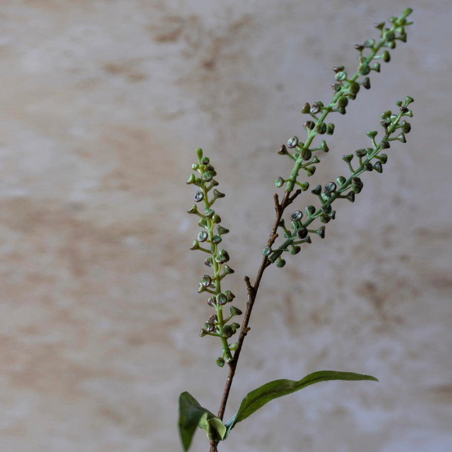 Artificial Myrtle by Abigail Ahern