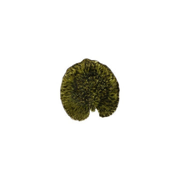 Green Riviera Forets Alchemille leaf side plate