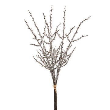 Iced Branch Bundle