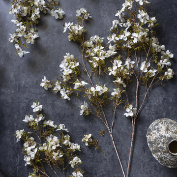 Cream Artificial Prunus Blossom by Abigail Ahern