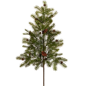 Mountain Spruce Branch with Pinecones
