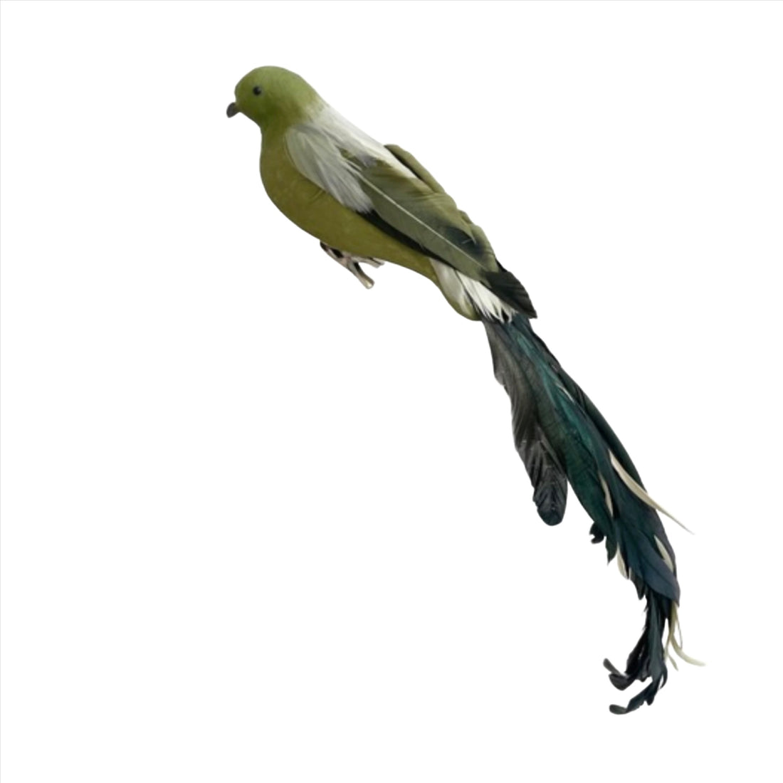 Green Feather Bird - 3 sizes