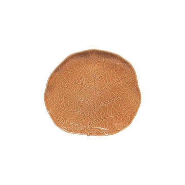 Terracotta Silvina Fennel Salad/Dessert Plate
