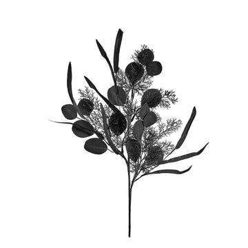 Black Eucalyptus Spray