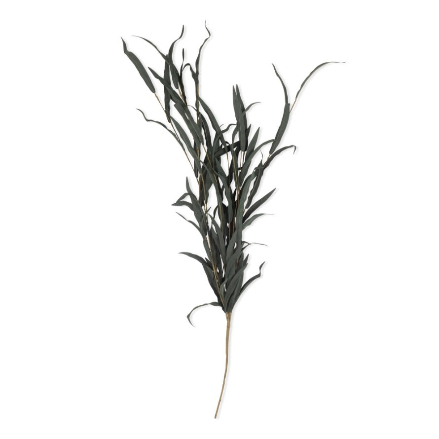 Willow Branch Stem by Abigail Ahern