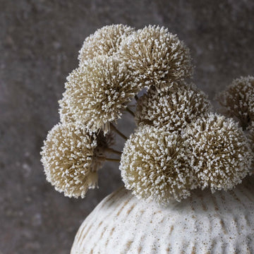 White Alliym Bunch by Abigail Ahern