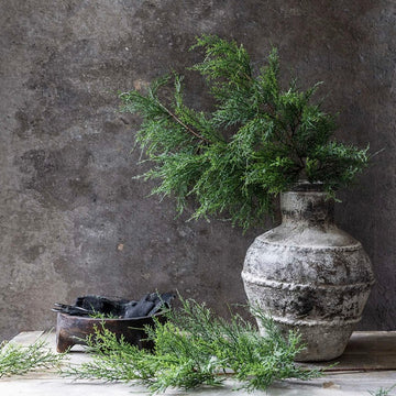 Artificial Cypress Branch by Abigail Ahern