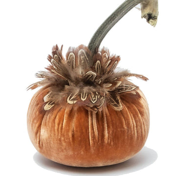 Spice with Pheasant Feather Collar Pumpkin