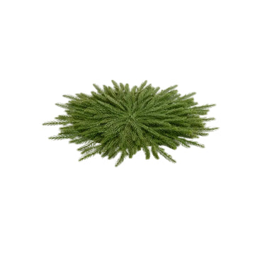 Cedar Placemat