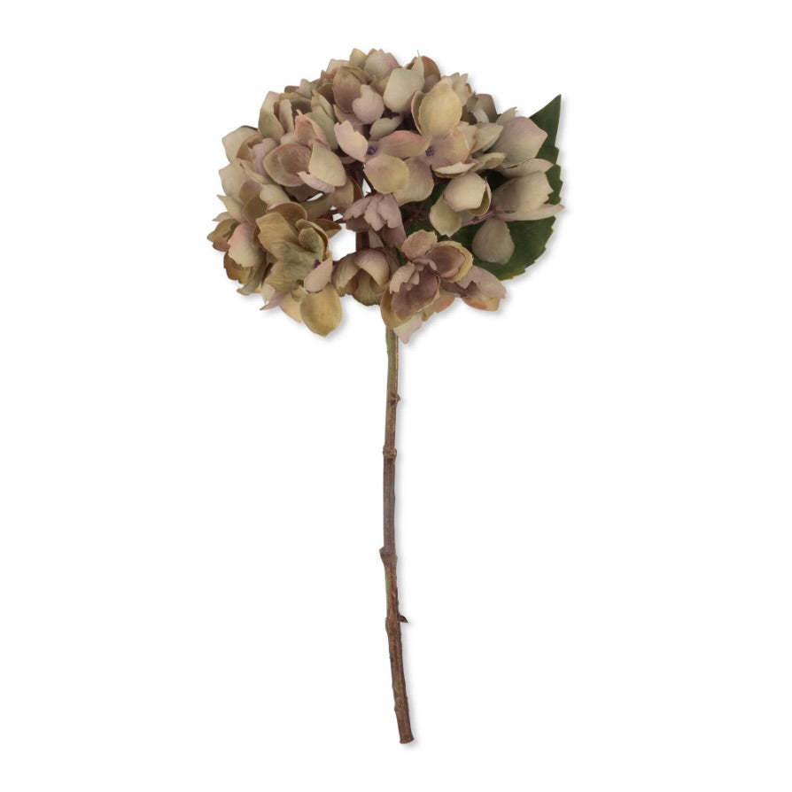 Hydrangea Dusk Stem by Abigail Ahern