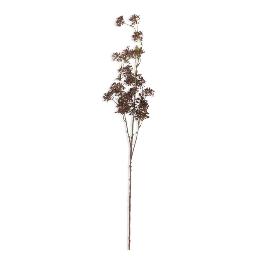 Artificial Hogweed by Abigail Ahern