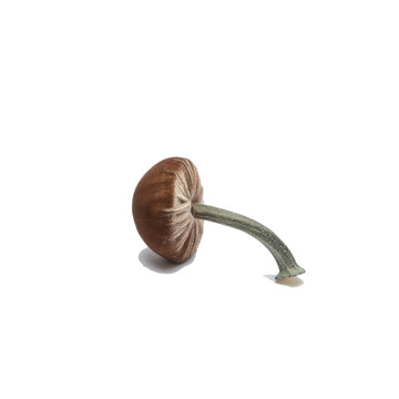 Mini Silk Velvet Mushroom