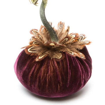 Eggplant with Pheasant Feather Collar Pumpkin