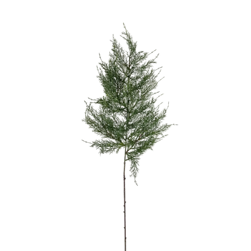 Artificial Cypress Branch by Abigail Ahern
