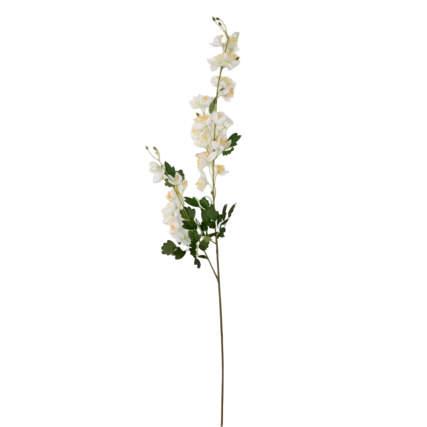 Cream Campanula by Abigail Ahern