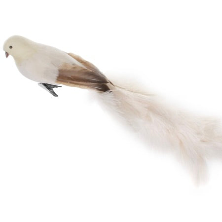 Cream Feather Bird - 3 sizes