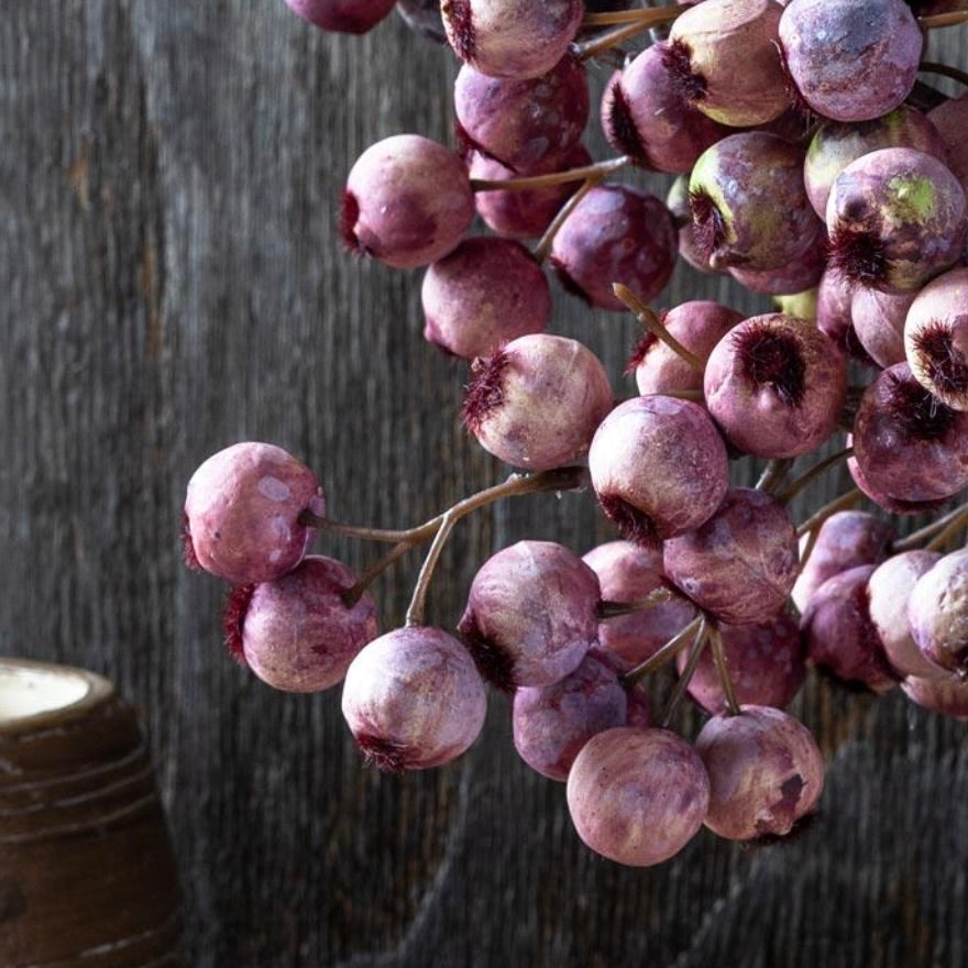 Artificial Hawthorne Berry Eventide by Abigail Ahern