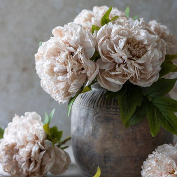 Blush Dew Peony by Abigail Ahern