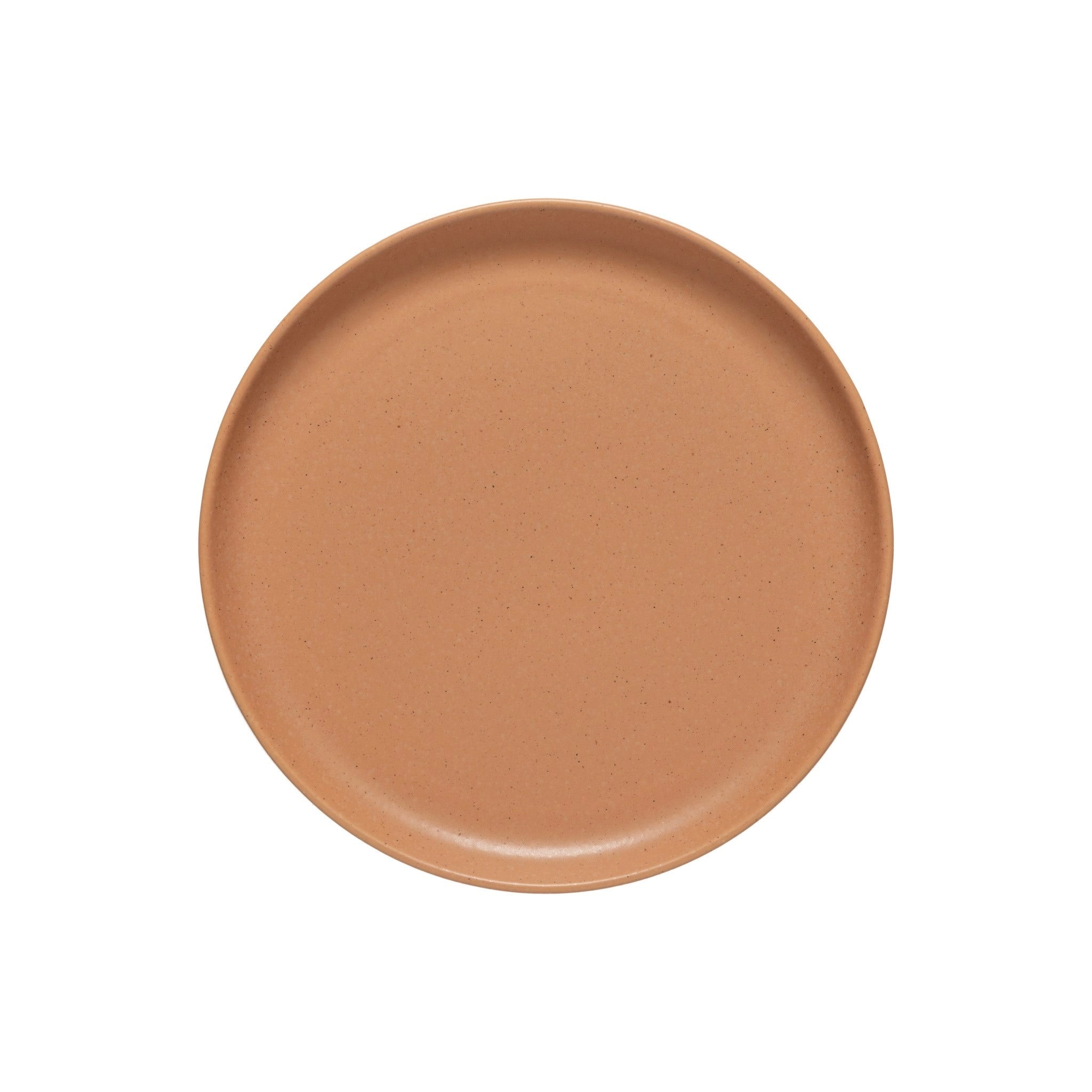 Terracotta Casafina Pacifica Dinner plate - set of 6