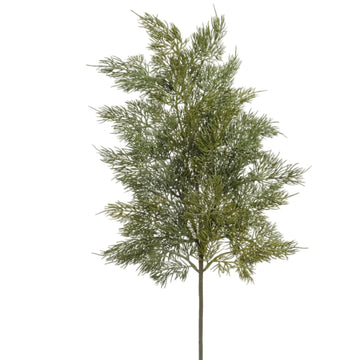 Cedar Spray
