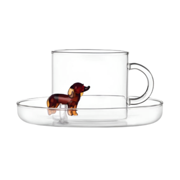 Bassotto Tea Cup + Saucer by Ichendorf