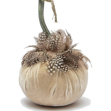 Cream with Guinea Feather Collar Pumpkin