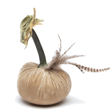 Cream with Chinchilla Feather Plume Pumpkin