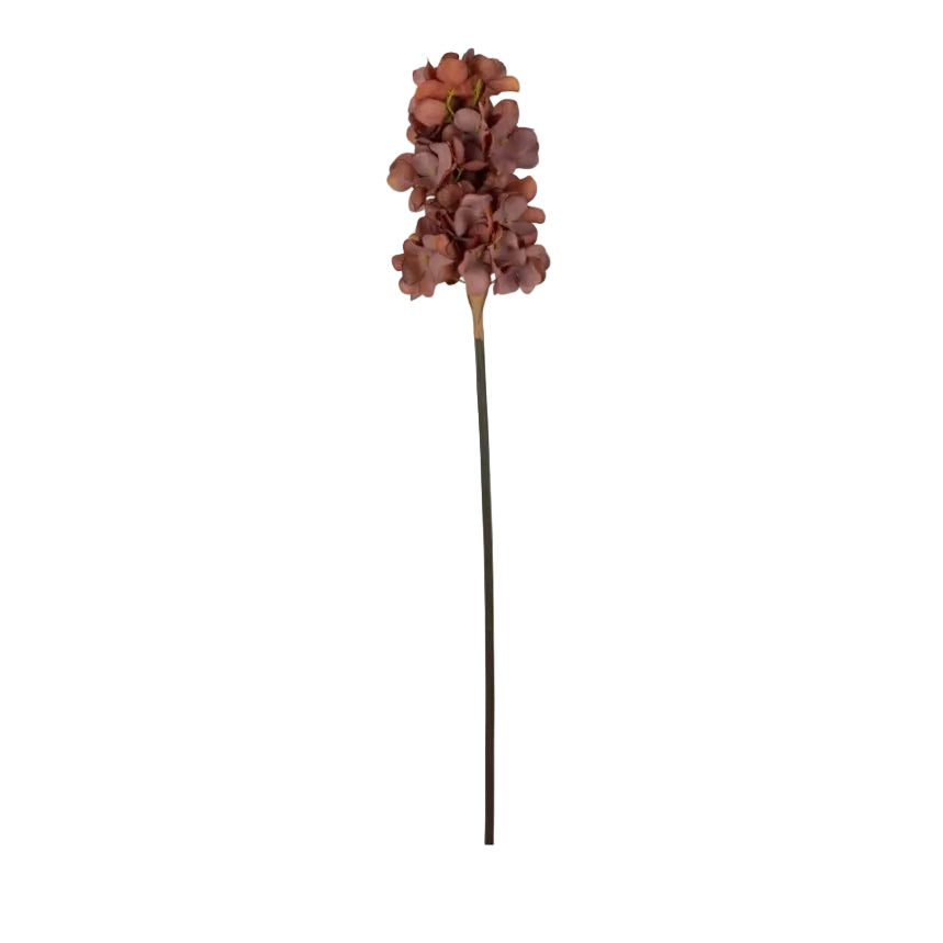 Antique Pink Cone Hydrangea by Abigail Ahern