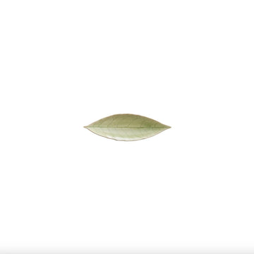 Vert Frais Riviera Laurel Leaf Plate