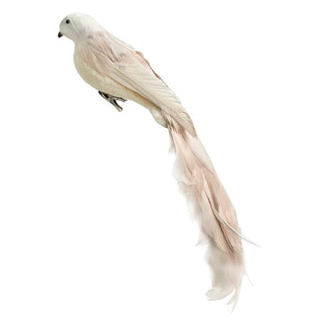 Cream Feather Bird - 3 sizes