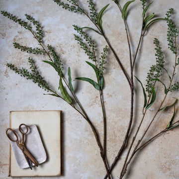 Artificial Myrtle by Abigail Ahern