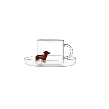 Bassotto Tea Cup + Saucer by Ichendorf