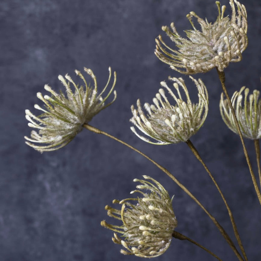 Green Artificial Leucospermum by Abigail Ahern