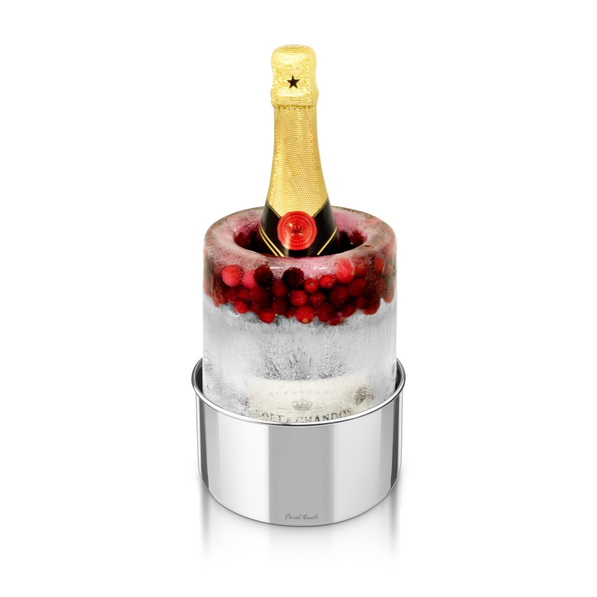 Wine Ice Bottle Chiller