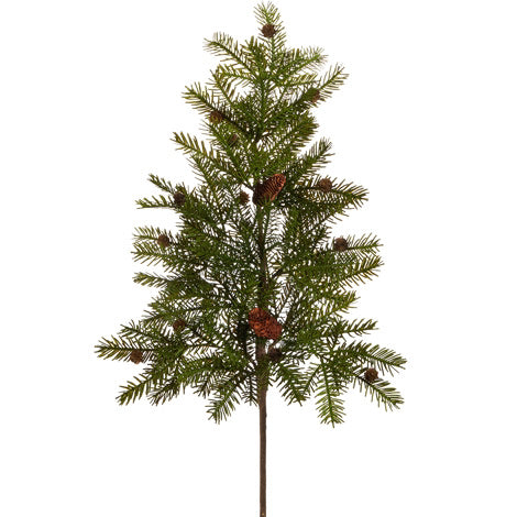 Mountain Spruce Branch with Pinecones