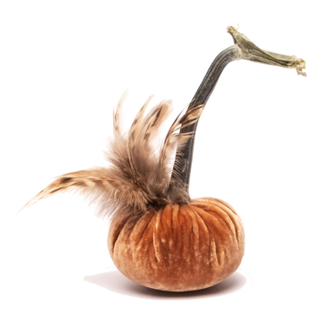 Spice with Plume Pumpkin
