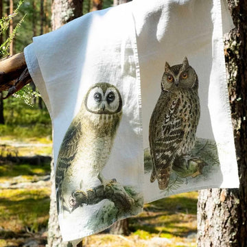 Owl Tea Towel