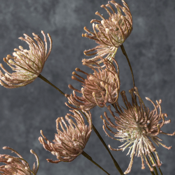 Blush Artificial Leucospermum by Abigail Ahern