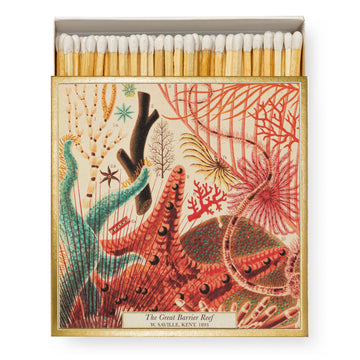 The Great Barrier Reef Square Matchbox