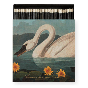 The Common American Swan Square Matchbox