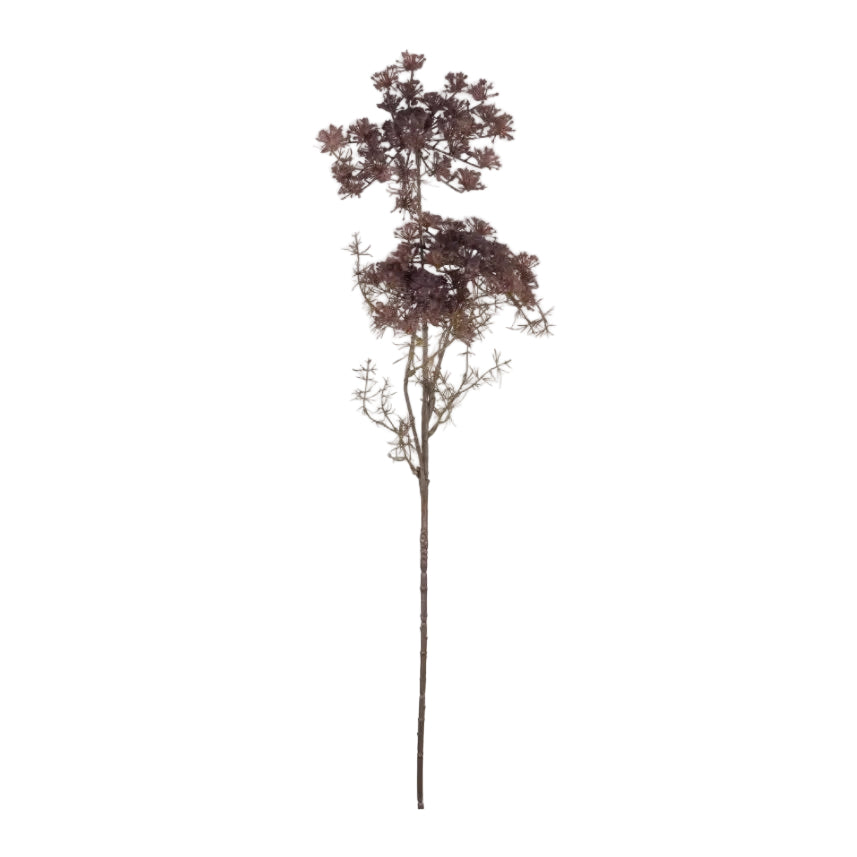 Purple Queen Anne's Lace by Abigail Ahern
