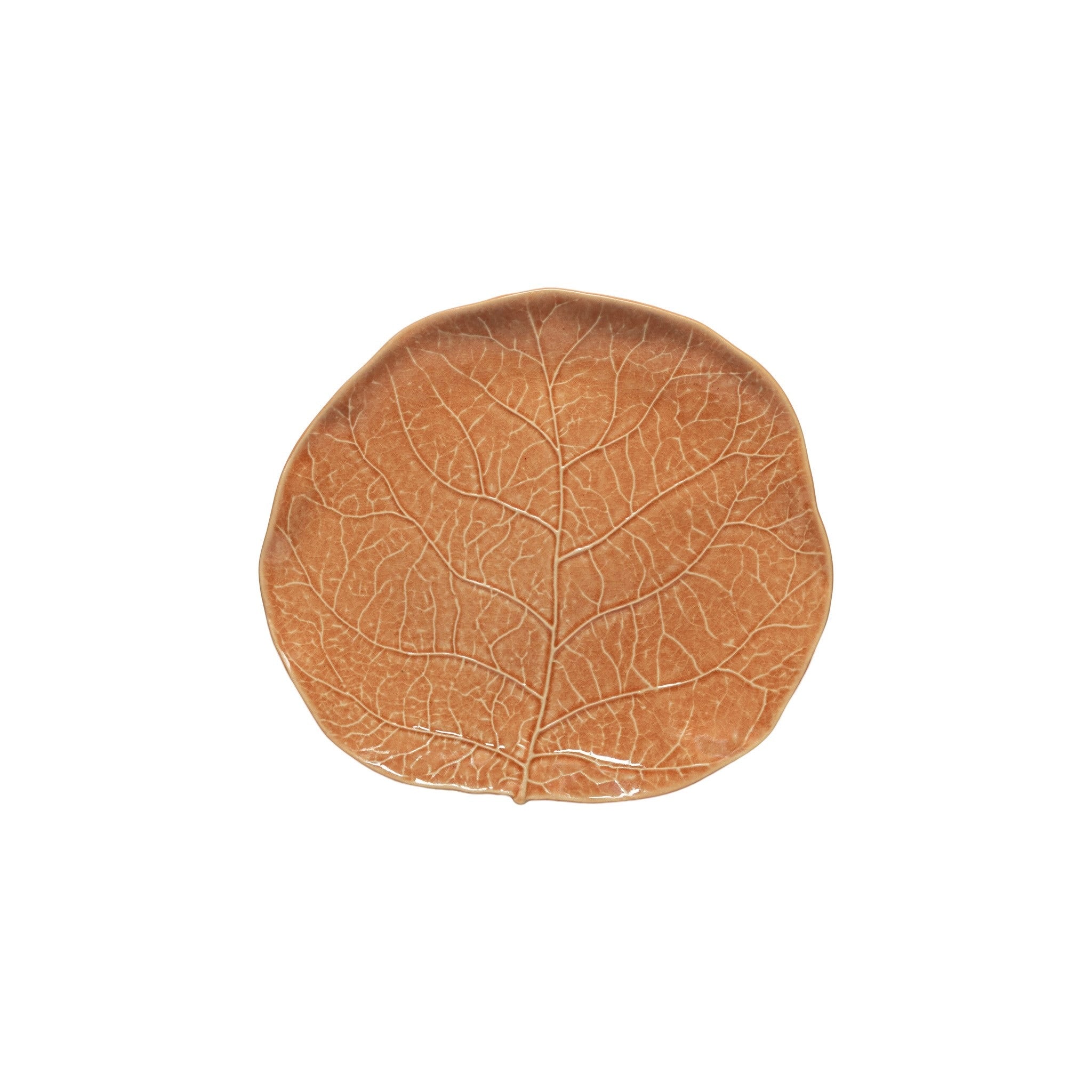 Terracotta Silvina Fennel Salad/Dessert Plate
