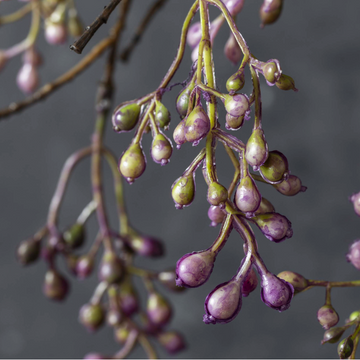 Purple Artificial Berry Branch by Abigail Ahern