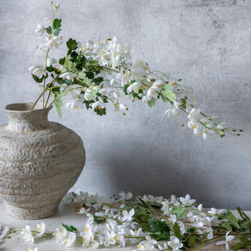 Cream Campanula by Abigail Ahern