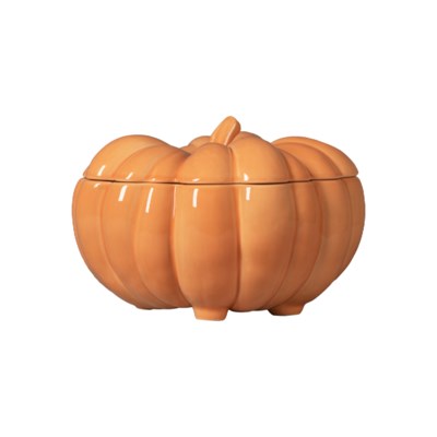 Silvina Fennel Terracotta Pumpkin Casserole