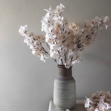Blush Bougainvilla Stem by Abigail Ahern