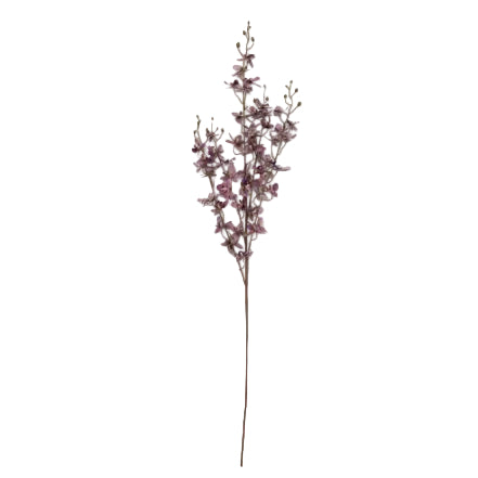 Purple Artificial Onsiduum Orchid by Abigail Ahern
